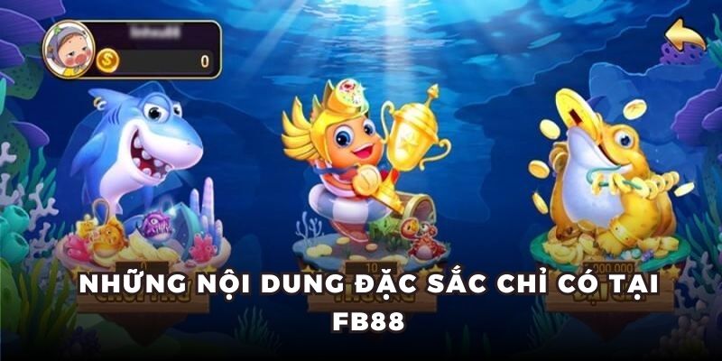 Những nội dung đặc sắc chỉ có tại OKKING