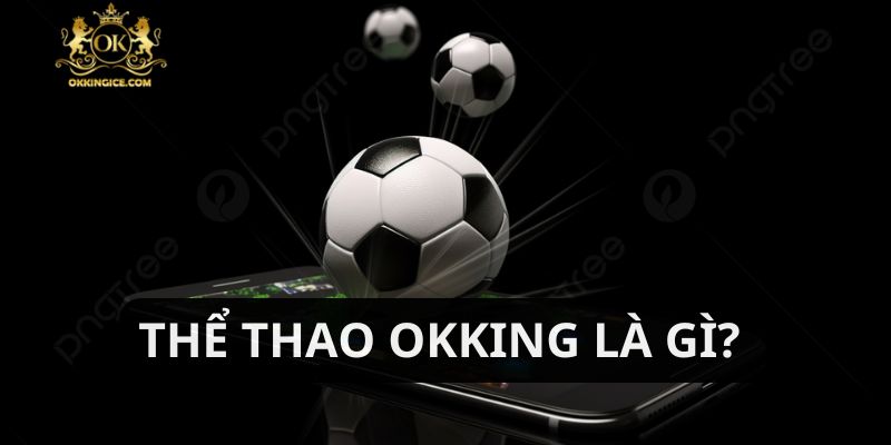 Tổng quan thông tin chung về sảnh thể thao OKKING