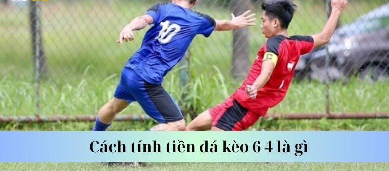 Cách tính tiền đá kèo 6 4 là gì
