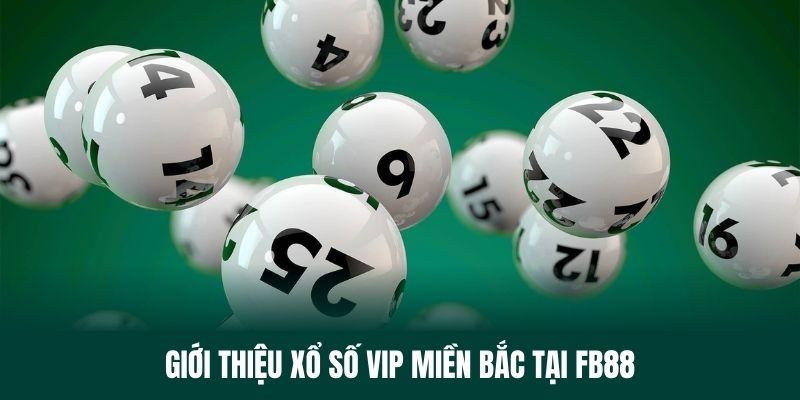 Tìm hiểu sơ lược về xổ số vip miền Bắc tại