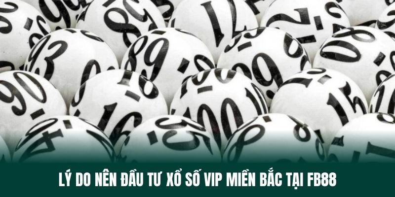 Lý do nên đầu tư xổ số vip miền Bắc tại nhà cái